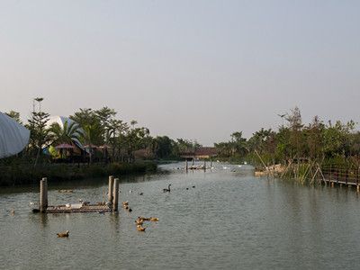 南沙湿地公园和水鸟世界门票-南沙湿地公园和水鸟世界门票一样吗