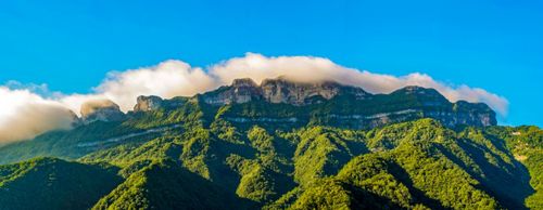 金佛山自驾游旅游攻略-金佛山自驾一日游攻略